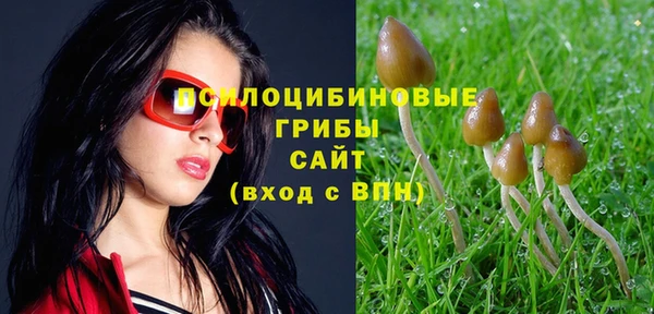 гидропоника Лабытнанги