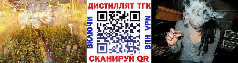 цена Нефтекамск Дистиллят ТГК THC oil
