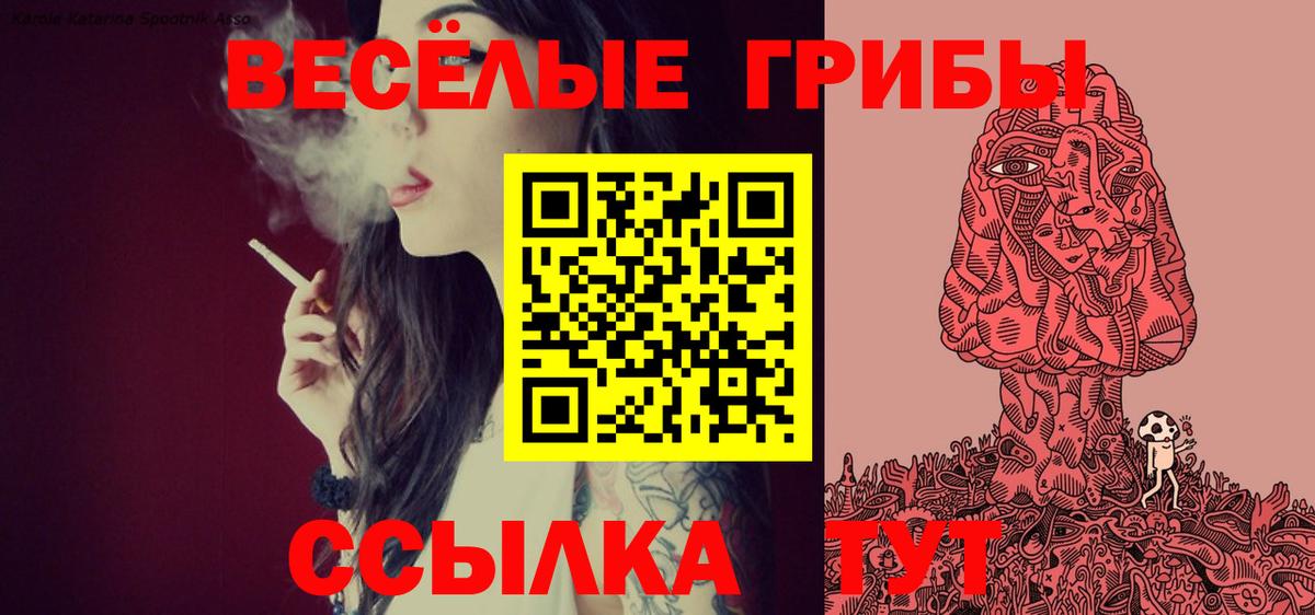 Псилоцибиновые грибы Psilocybine cubensis  Вход с VPN  Нефтекамск 